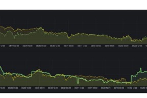 SOL突遭安全漏洞，流失高达10.23万美元-九游体育下载
