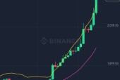 MATIC创下年内新高，上扬幅高达以太坊%，还能追吗？-九游娱乐APP
