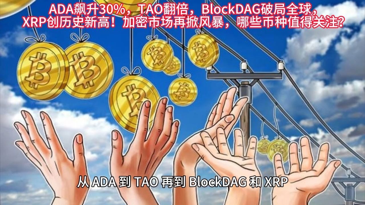 TRON攀升势惊人，一夜飙升29%，加密市场沸腾，市场关注